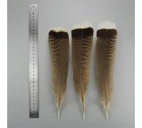 Lotto di piume d'aquila naturali accessori artigianali fai da te centrotavola grande coda di tacchino decorazione copricapo indiano [25-30 cm 10-12 pollici]