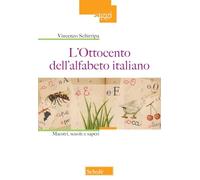 L'Ottocento nell'alfabeto italiano. Maestri, scuole e saperi. Nuova ediz.