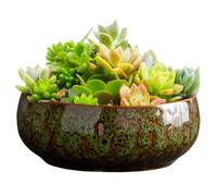 Lottus Bowl Planter - Ciotola di fiori in ceramica Lottus | Ciotole per la piantagione | Vaso idroponico decorativo | 780 g Plancher di ciotole spaziose in ceramica per i e i fiori all'interno e