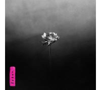 Vinile Little Simz - Lotus