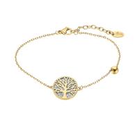 LOTUS PULSEIRA, ACQUO