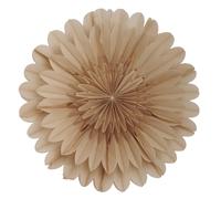 Lotus Stella di Natale Ø60 Beige