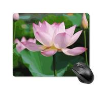 Lotus - Tappetino per mouse quadrato, portatile, con base in gomma antiscivolo, 18 x 22 cm, ultra sottile, per computer portatile, accessori da scrivania da ufficio