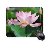 Lotus - Tappetino per mouse quadrato, portatile, con base in gomma antiscivolo, 20 x 25 cm, ultra sottile, per computer portatile, accessori da scrivania da ufficio