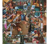 Lou Barlow Reason to Live (Vinyl LP) 12" Album Coloured Vinyl