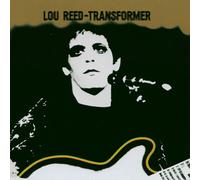Reed Lou - Transformer