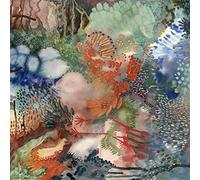 Louien - None Of My Words