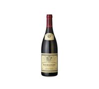 Louis Jadot Bourgogne Couvent des Jacobins 2023