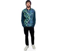 Louis Tomlinson (Black Jeans) mini formato