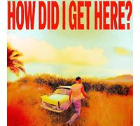 Louis Tomlinson - How Did I Get Here?