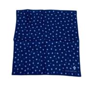 Louis Vuitton Vintage - Fazzoletto di seta Pre-owned - - Pre-owned - unisex - Blu - ONE SIZE