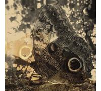 Louise Landes Levi Ikiru Or The Wanderer (Vinyl LP)