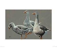 Louise Marrone Arte Stampe, Multicolore, 60 x 80 cm