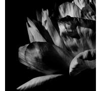 Louise Roam Là Où Passe La Nuit (CD) Album