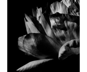 Louise Roam Là Où Passe La Nuit (Vinyl LP) 12" Album