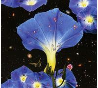 Louise Sarah - Nighttime Birds And Morning Stars