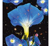 Louise Sarah - Nighttime Birds And Morning Stars
