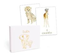 Loulou Baker Baby: First Year Milestone Cards (General merchandise)