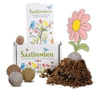 LouMaxx Bombe di Semi Fatte a Mano | 15 pz | +50 Specie