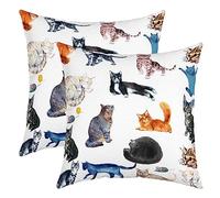 Loussiesd Set di 2 federe colorate per cuscini con gatti e simpatici cartoni animati, decorazione per divano, federe colorate per cuscini da divano, 50 x 50 cm
