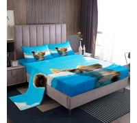 Loussiesd Set di lenzuola per letto matrimoniale con motivo gatto oceanico, per bambini, ragazzi e ragazze, con tasca profonda, lenzuolo con angoli, motivo animali Kawaii, estate, oceano, mare, mare