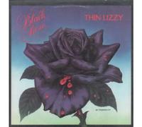 LOUVIN BROTHERS - tragic songs of life ROUNDER 12 (LP vinyl record)