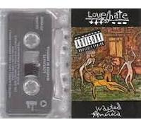 Love and Hate - Wasted In America