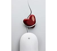 Love in All Forms: A journey Through Self, Spirit and Relationships