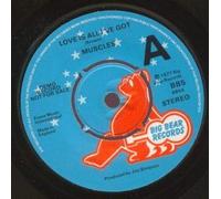 LOVE IS ALL I'VE GOT 7" (VINYL 45) UK BIG BEAR 1977