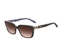 Love Moschino Brown Acetate Sunglasses