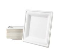 Love Nature Set di Piatti Quadrati Usa e Getta Ecologici 20 cm 50 Pezzi - Biodegradabili di Canna da Zucchero - Stoviglie Economiche