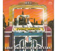 Love Unlimited Orchestra - Young America / Freeway Flyer [Vinile 7 pollici - 45 Giri]