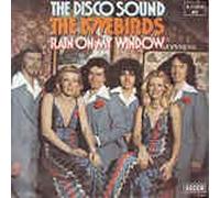 Lovebirds - The Disco Sound - Rain on my window