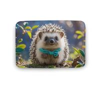 Lovely Hedgehog Area Tappeto Grande Tappeto in Velluto Corallo Zerbino con Retro in Gomma Antiscivolo Vasche da Bagno Tappeto Elegante Tappeto Lavabile per Sala Giochi 40 x 60 cm