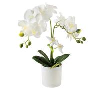 Lovmeety Orchidea artificiale in vaso, orchidea finta bianca, realistica al tatto, fiori di orchidea Phalaenopsis finti in vaso per interni, ufficio, scrivania, casa, matrimonio, centrotavola,
