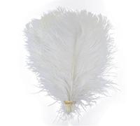 LOVSSU Piuma di Struzzo 10 Pezzi di Piume Struzzo Colorate da 15 a 60 cm for Artigianato, Carnevale, Matrimonio, Fai Te, centrotavola, Decorazioni, Soffici, Accessori all'Ingrosso(White,25-30cm)