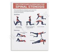 Low Back Support Poster Therapeutic Stretches and Exercise Guide Chart for Home Workout Wall Art(Unframed,12x18inch(30x45cm))