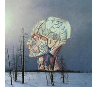 Low Songs for a Dead Pilot (Vinyl LP) 12" Album