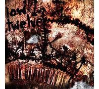Low Twelve - Skin In The Game