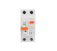 Low Voltage RCBO 30mA 1p+n RCBO Residual Current Circuit Breaker NWPNLXEA(50A)