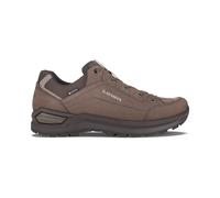 Scarpe outdoor da uomo Lowa Renegade EVO GTX Low