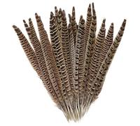 Lowats Piume di Fagiano 20 Pezzi Fagiano Piume Piume Decorative Lungo Fagiano Penne della Coda Decorative Piume Piume Marroni Naturale Piume Morbide 25-30 cm per Artigianato Fai da Te