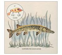 Lowe Nick - Lay It On Me