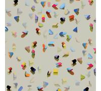 Lower Dens Escape from Evil (Vinyl LP) 12" Album