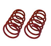 Lowering springs