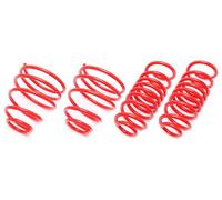 Lowering springs per 911rt