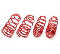 Lowering springs per Clio III Sport