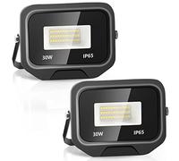 loyal 2 Pezzi 30W Faretto LED da Esterno 3000LM, Super Luminosa Bianco Freddo 6000K Fari LED Lampada, Impermeabile IP65 Proiettore Faro, Luce di Sicurezza per Garage Giardino Corridoio Piazza