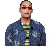 Loyle Carner (Denim) Ritaglio di buddy a metà corpo