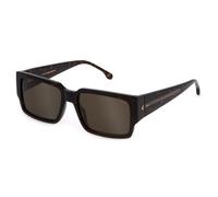 Lozza Uomo Lozza SL4317 RIVIERA 2 722 Occhiali da sole Acetato Havana Marrone Squadrata Normale